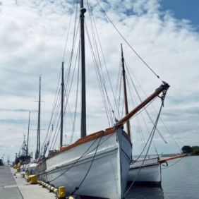 s/y Witamina
